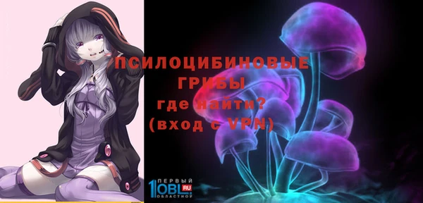 молекула духа Абинск