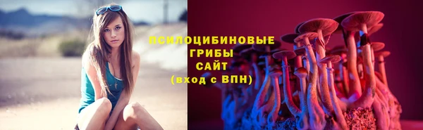молекула духа Абинск
