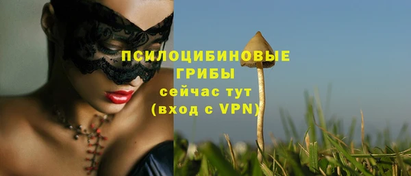 молекула духа Абинск