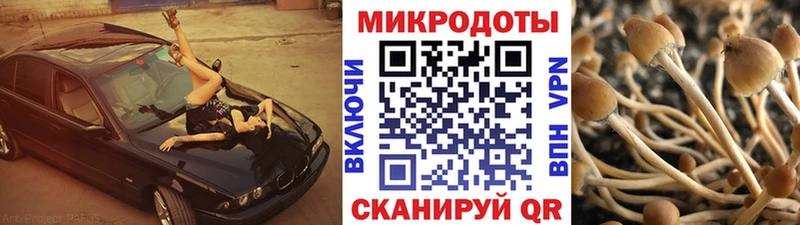кракен ТОР Нестеровская Галлюциногенные грибы мухоморы